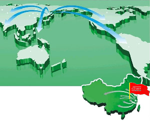 萬燊達銷售網(wǎng)絡